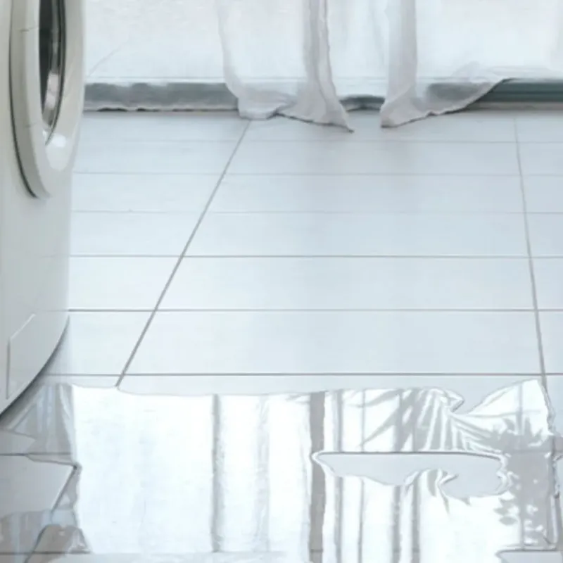 Appliance Leak Cleanup in Bellwood, VA
