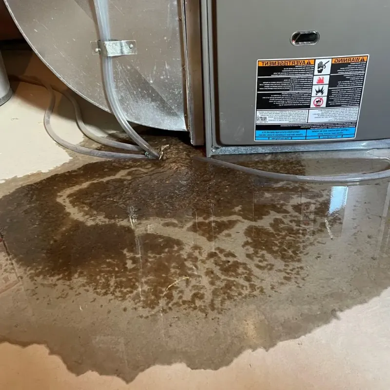 Pipe Burst and Leak Restoration in Bellwood, VA