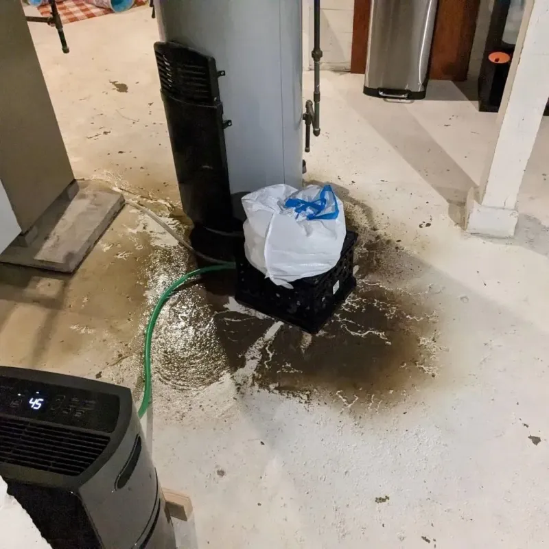Sewage Backup Cleanup Service in Bellwood, VA